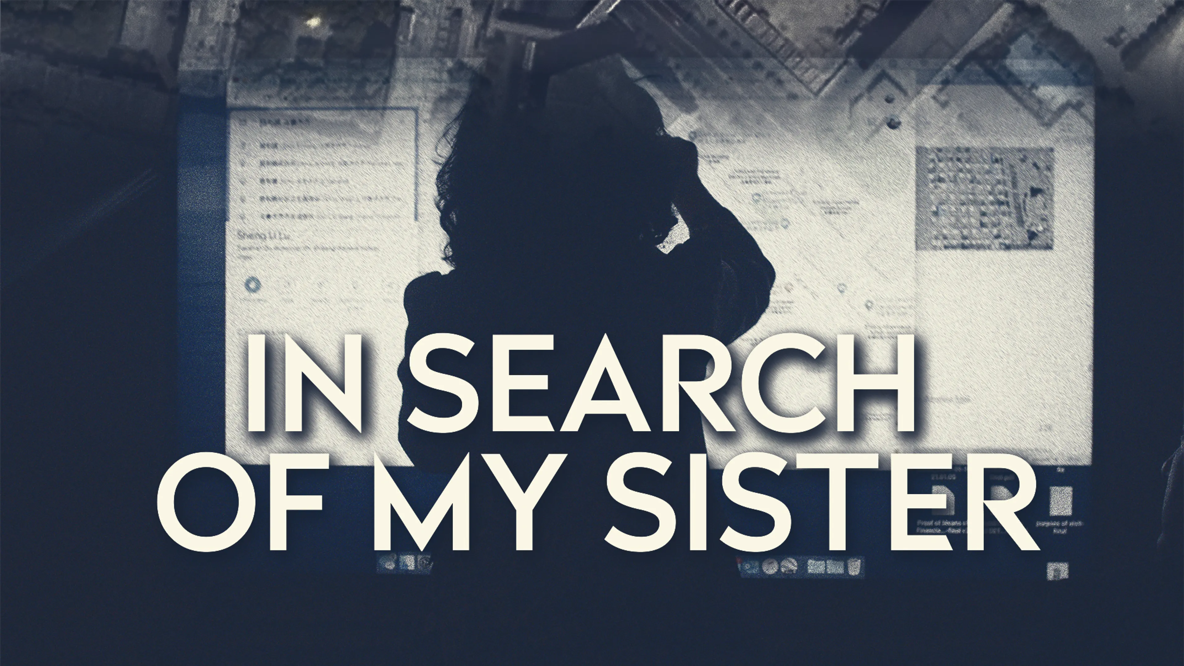 In Search of My Sister poster